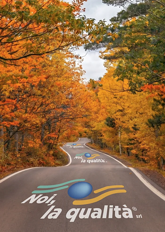 Una strada tra i boschi in autunno con il logo Noi, la qualità