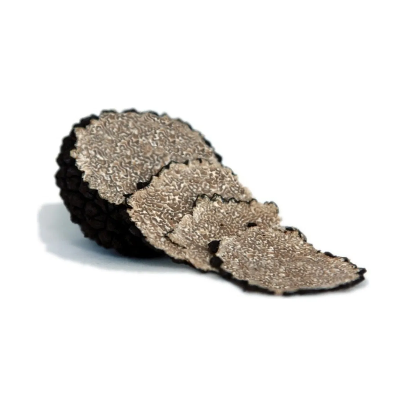 Briciola al tartufo estivo